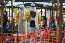 Nhân viên y tế chăm sóc bệnh nhân nhiễm Ebola. (Ảnh: AFP/TTXVN)