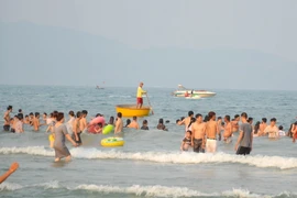 (Ảnh minh họa: Đinh Văn Nhiều/TTXVN)