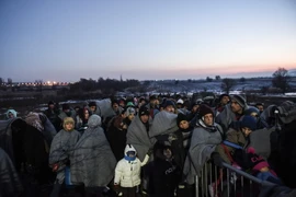 Người di cư đợi để vào trại tị nạn sau khi vượt qua biên giới Macedonia tới Serbia ngày 23/1 vừa qua. (Ảnh: AFP/TTXVN)