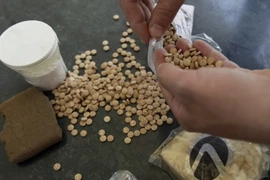 Ảnh minh họa. (Nguồn: AFP/TTXVN)