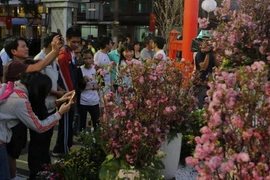 Người dân náo nức thưởng lãm hoa anh đào. (Ảnh: Phương Vy/TTXVN)