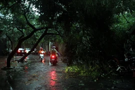 (Ảnh minh họa: Tuấn Anh/TTXVN)