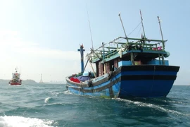 (Ảnh minh họa: Nguyên Lý/TTXVN)