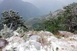 (Ảnh: Nguyễn Hoàng/Vietnam+)