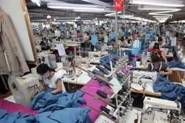 May hàng xuất khẩu tại Công ty chi nhánh Bắc Giang. (Ảnh: Trần Việt/TTXVN)