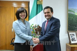 Bộ trưởng Bộ Kinh tế Mexico Ildefonso Guajardo Villarreal tiếp Đại sứ Lê Linh Lan. (Ảnh: Việt Hòa/Vietnam+)