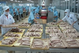 Chế biến cá ngừ đóng hộp tại Công ty KTC Food Kiên Giang. (Ảnh: Phương Vy/TTXVN)