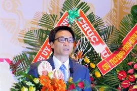 Phó Thủ tướng Chính phủ Vũ Đức Đam phát biểu tại hội thảo. (Ảnh: Viết Ý/TTXVN)