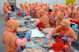 Chế biến tôm xuất khẩu. (Ảnh: Mạnh Linh/TTXVN)