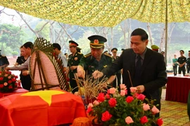 (Ảnh minh họa: Công Luật/TTXVN)