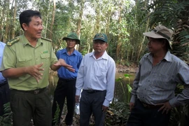 Lực lượng kiểm lâm phối hợp với chính quyền địa phương kiểm tra công tác phòng chống cháy rừng. (Ảnh: Huỳnh Sử/TTXVN)