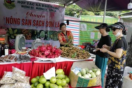 Gian trưng bày giới thiệu sản phẩm nông sản đạt tiêu chuẩn Ocop đến từ huyện Mường La, tỉnh Sơn La. (Ảnh: Trần Việt/TTXVN)
