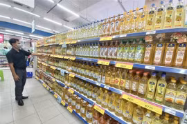Tiềm năng thị trường bán lẻ Việt Nam rất lớn. (Ảnh: Dư Toán/TTXVN)