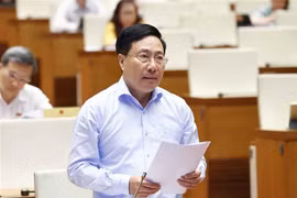 Phó Thủ tướng Thường trực Chính phủ Phạm Bình Minh cùng tham gia trả lời chất vấn, giải trình về những vấn đề có liên quan. (Ảnh: Doãn Tấn/TTXVN)