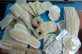 Những sản phẩm từ xơ mướp. (Ảnh: Đinh Văn Nhiều/TTXVN)