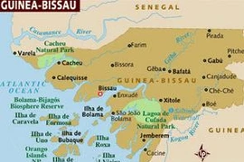 VN kêu gọi củng cố hòa bình ở Guinea Bissau