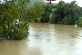 Trú mưa trong nhà, hai mẹ con thiệt mạng vì bị sét đánh