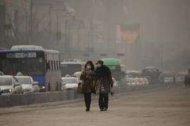 Giới trẻ Hàn Quốc: Tử vong do tự tử chiếm tỷ lệ lớn