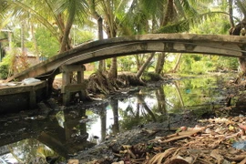 Kết nối doanh nghiệp Nhật Bản-Việt Nam trong lĩnh vực môi trường