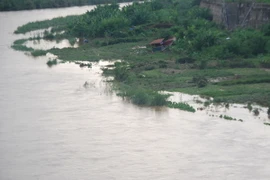 Trú mưa dưới gốc cây to, 3 em nhỏ thiệt mạng do sét đánh