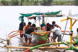 Philippines: Hàng trăm nghìn người sơ tán "trốn" bão Rammasun