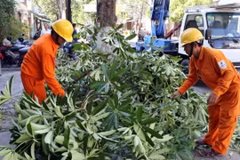 Bão Rammasun trên Biển Đông gây ra gió mạnh, biển động dữ dội