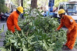Bão Rammasun trên Biển Đông gây ra gió mạnh, biển động dữ dội