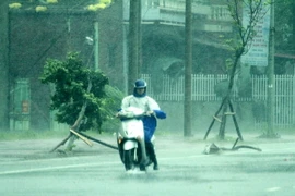 Tâm bão số 2 nằm ngay trên khu vực phía Bắc tỉnh Quảng Ninh