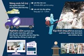 Nâng mức hỗ trợ người chăn nuôi, cấp bách khống chế dịch tả lợn