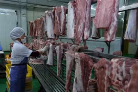 Phân loại thịt lợn đã chế biến và treo trên giá đảm bảo an toàn vệ sinh thực phẩm. (Ảnh: Vũ Sinh/TTXVN)