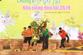 Phần thi nhà nông liên kết hái cà phê tại đêm chung kết. (Ảnh: Phạm Cường/TTXVN)