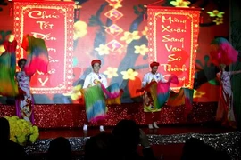 (Ảnh minh họa: Quang Vinh/TTXVN)
