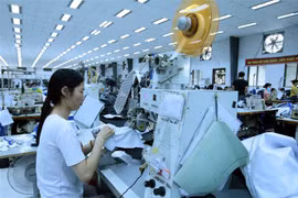(Ảnh: Phạm Kiên/TTXVN)
