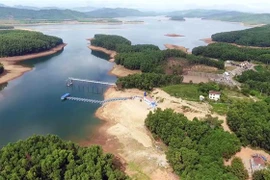 (Ảnh minh họa: Trần Tĩnh/TTXVN)