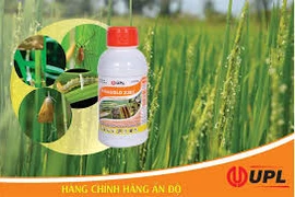 Xử phạt doanh nghiệp sửa hạn hơn 4 tấn thuốc bảo vệ thực vật