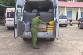 Lực lượng chức năng thu giữ động vật hoang dã để điều tra. (Ảnh: TTXVN phát)