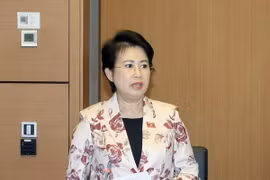 Bà Phan Thị Mỹ Thanh. (Ảnh: TTXVN/phát)