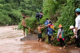 (Ảnh minh họa: Việt Hoàng/TTXVN)