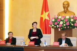 Ủy viên Bộ Chính trị, Chủ tịch Quốc hội Nguyễn Thị Kim Ngân, Bí thư Đảng đoàn Quốc hội phát biểu. (Ảnh: Trọng Đức/TTXVN)