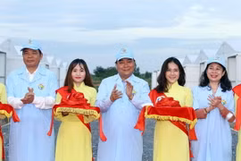 (Ảnh minh họa: Công Mạo/TTXVN)