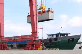 (Ảnh minh họa: Trần Xuân Tình/TTXVN)
