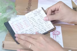 (Ảnh minh họa: Đinh Tuấn/TTXVN)