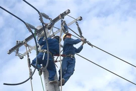 (Ảnh minh vũ: Thanh Vũ/TTXVN)