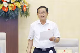 Phó Chủ tịch Quốc hội Đỗ Bá Tỵ phát biểu. (Ảnh: Doãn Tấn/TTXVN)