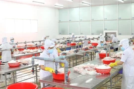 Thực hiện giãn cách trong khu vực chế biến thủy sản. (Ảnh: Xuân Anh/TTXVN)