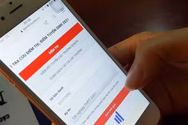 Thí sinh tra cứu điểm thi trên mạng ngay sau thời gian Bộ Giáo dục và Đào tạo công bố điểm. (Ảnh: TTXVN)