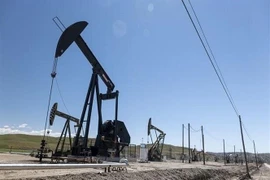 Một cơ sở lọc dầu của Iran. (Ảnh: IRNA/TTXVN)