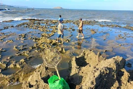 Khu vực biển Hòn Đỏ - nơi hai thanh niên mất tích. (Ảnh: TTXVN phát)