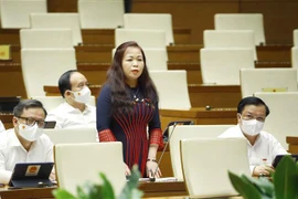 Đại biểu Quốc hội thành phố Hà Nội Vũ Thị Lưu Mai phát biểu. (Ảnh: Doãn Tấn/TTXVN)
