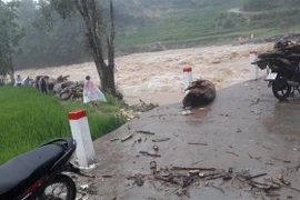 Nước lũ dâng cao tại nhiều suối trên địa bàn thị xã Sa Pa. (Ảnh: TTXVN phát)